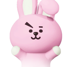 Cooky.png