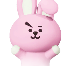 Cooky.png