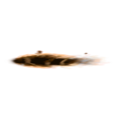 Dust Devil Booster transparent.png